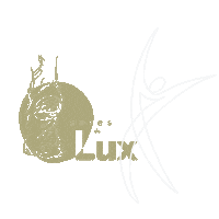 Dance Tijuana Sticker by Lux Boreal