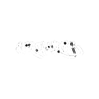 Skull Skeleton Sticker by Ehrlich Kicker