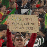 rashokatwal gay ronaldo ronaldo fans GIF
