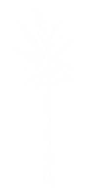 Recording Palm Tree Sticker by Spell & The Gypsy Collective