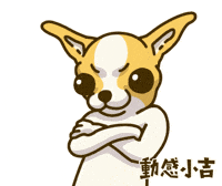 Animation Dog GIF