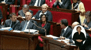 emmanuel macron entourage GIF by franceinfo