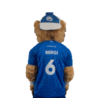 Handball Mascot Sticker by bergischerhc06