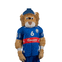 Handball Mascot Sticker by bergischerhc06