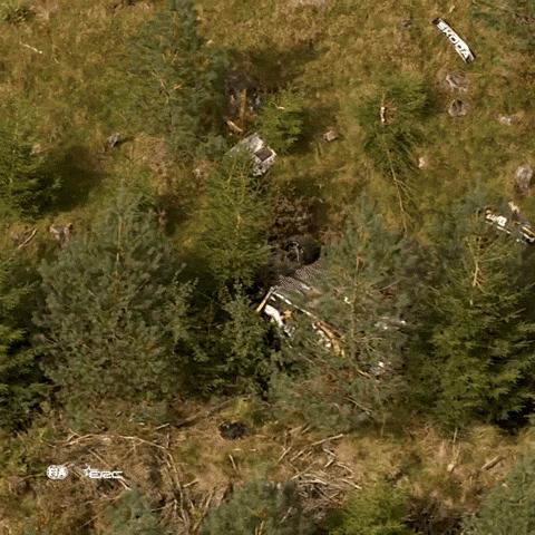 Off The Road Ok GIF by FIA European Rally Championship