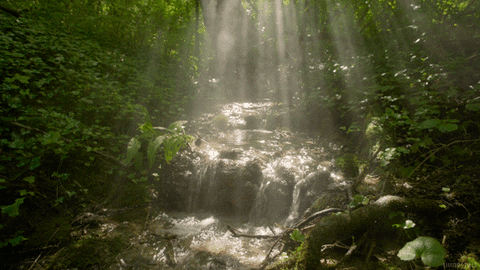 Enchanting-waterfall GIFs - Get the best GIF on GIPHY