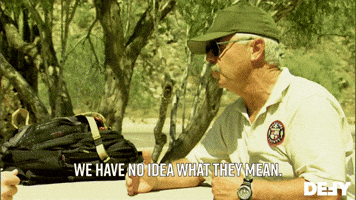 We Have No Idea What They Mean