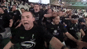World Rugby Sport GIF by Rugby World Cup