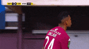 Saprissa GIF by TD Más