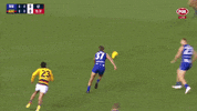 Taylor Walker Afl GIF by Adelaide Crows