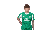Josh Sargent Bundesliga Sticker by SV Werder Bremen