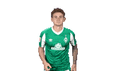 Josh Sargent Bundesliga Sticker by SV Werder Bremen