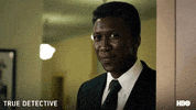 GIF by True Detective