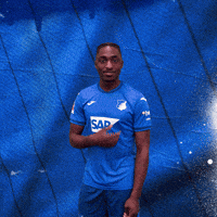 Sport Logo GIF by TSG Hoffenheim