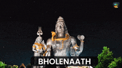 Om Namah Shivay Shiva GIF by Zion