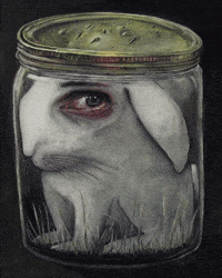 Sad Bunny GIF