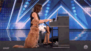 nbc contestants GIF by America's Got Talent