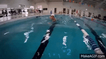 skillsnt giphyupload GIF