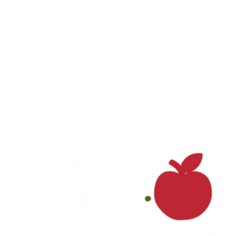 GIF by HAFTR