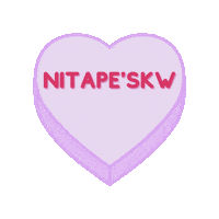 Lnu Sticker