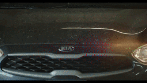 cohailclaims giphyupload GIF