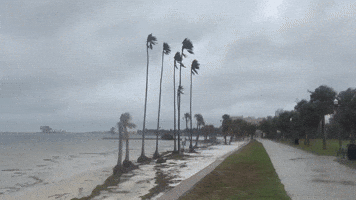 'Rainy and Gusty' Conditions Hit Southwest Florida