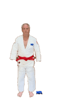 Judo Ippon Sticker by NA Effective Fighting