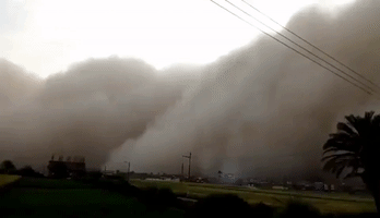 Severe Sandstorm Engulfs Egypt's Qena Region