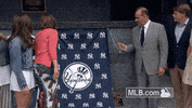 nyy GIF by MLB