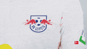 Happy Rb Leipzig GIF by Bundesliga