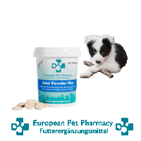 Border Co Sticker by Europeanpetpharmacy