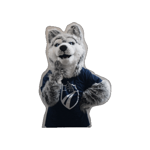 madison-college giphygifmaker thinking hmm wolfpack Sticker