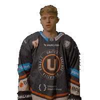 Uhk Sticker by UNIted HK