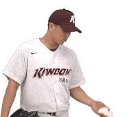 키움히어로즈 Sticker by Kiwoom Heroes Baseball Club