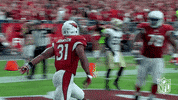 Arizona Cardinals Football GIF by NFL