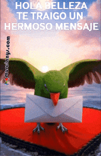Feliz Amigos GIF by Murcianys LLC
