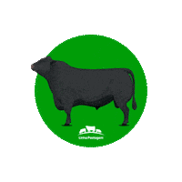 Linha Pastagem Sticker by Corteva Brasil