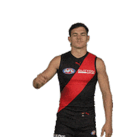 Dons Bombers Sticker by Essendon FC
