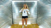 Toledo Volleyball GIF by Toledo Rockets