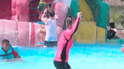 sunbeary GIF