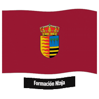 Castilla Y Leon Bandera Sticker by Formación Ninja