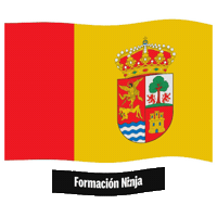 Castilla Y Leon Flag Sticker by Formación Ninja