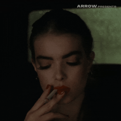 New York Horror GIF by Arrow Video