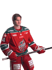 Ice Hockey Hockeyallsvenskan Sticker by MoDo Hockey