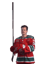 Ice Hockey Hockeyallsvenskan Sticker by MoDo Hockey