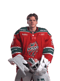 Ice Hockey Hockeyallsvenskan Sticker by MoDo Hockey