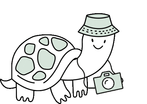 Photo Flash Sticker by Pancha By Flor Bertotti