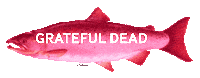 Grateful Dead Rainbow Sticker