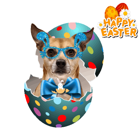 Easter Egg Sticker by Pimp Yo Pets