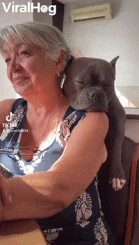 Bully Takes Big Nap On Grandmas Shoulder GIF by ViralHog